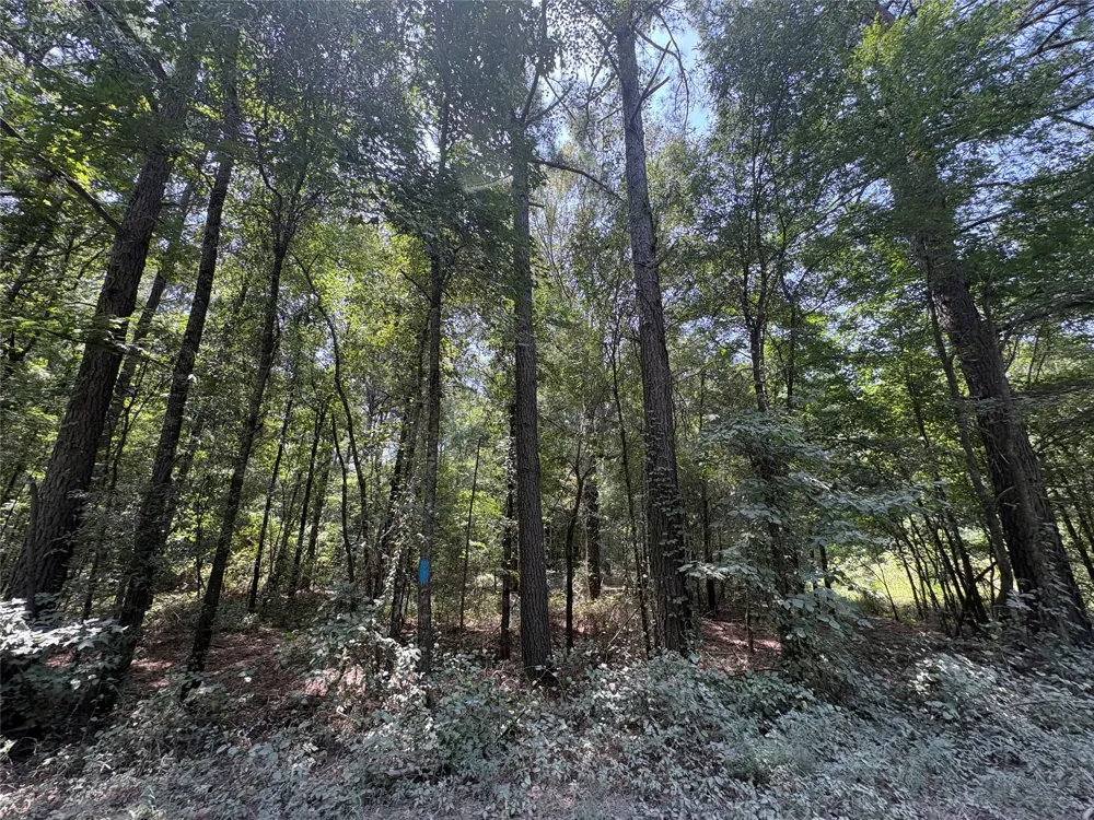 Moran Street Haughton, LA 71037