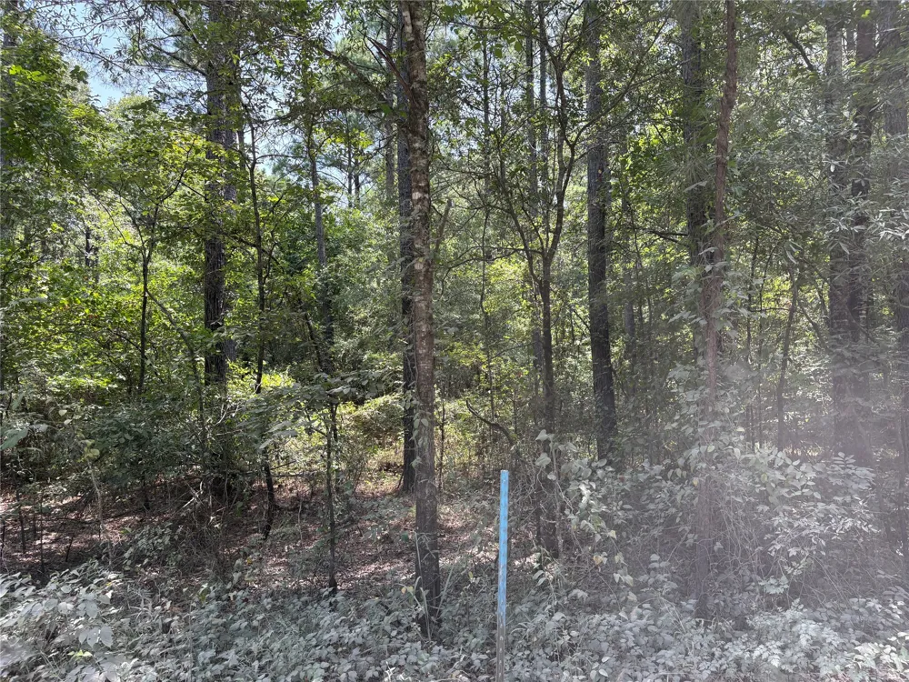 Moran Street Haughton, LA 71037