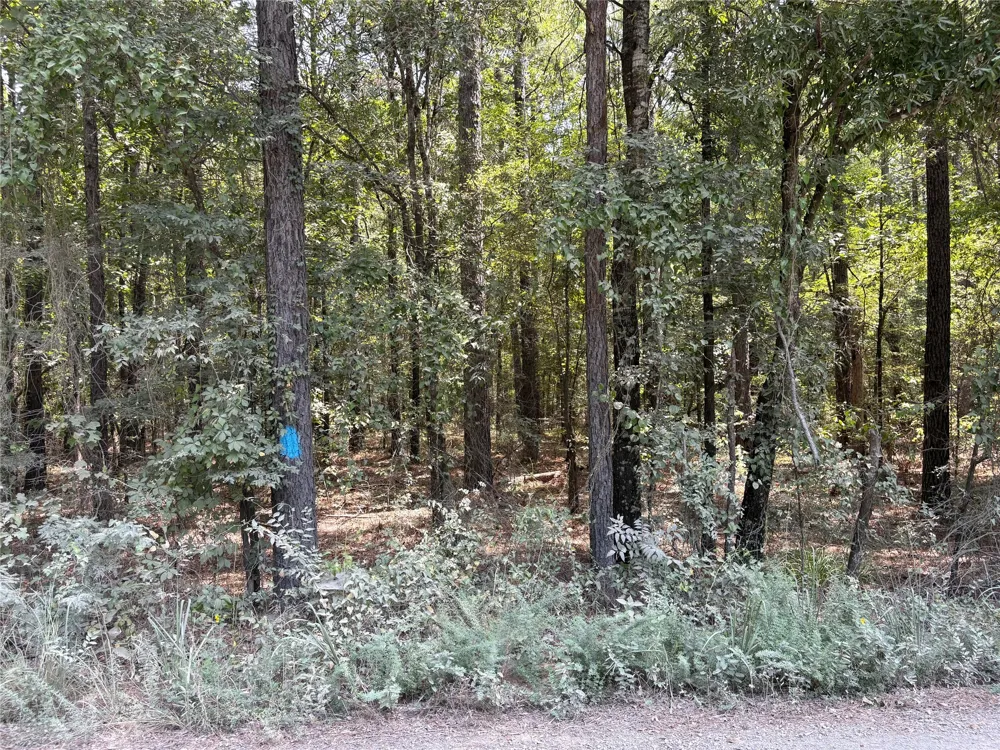Moran Street Haughton, LA 71037
