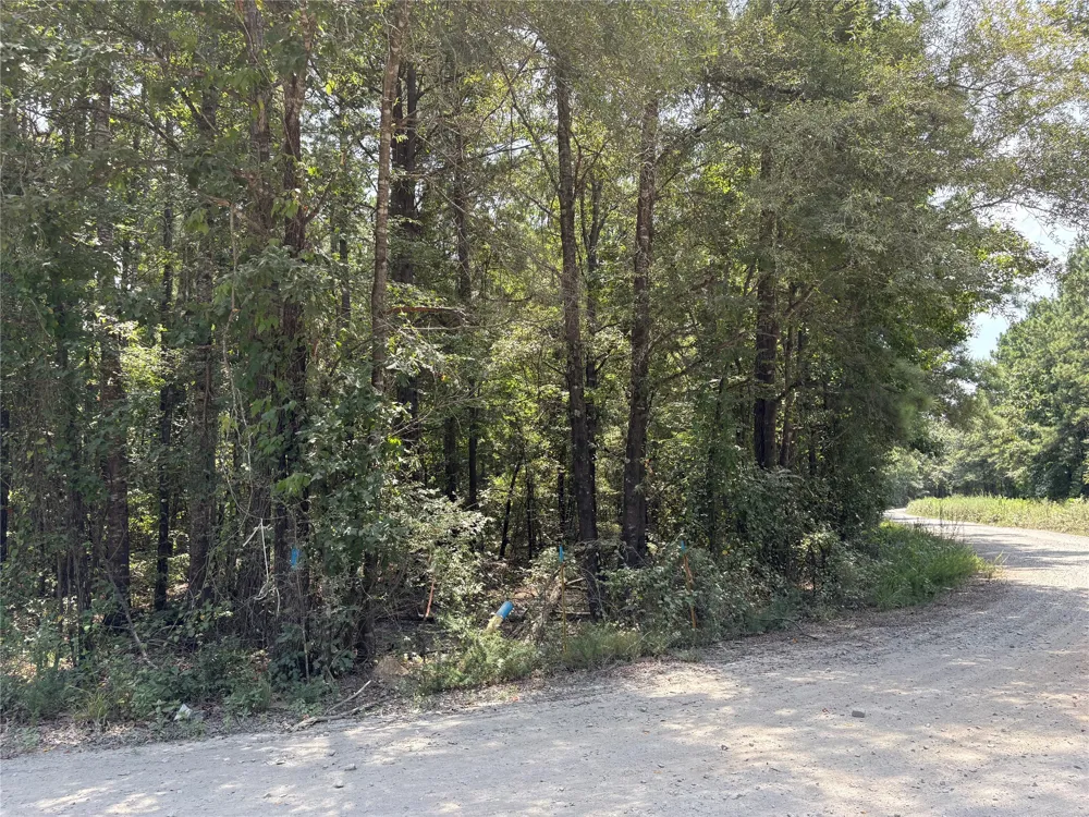 Moran Street Haughton, LA 71037