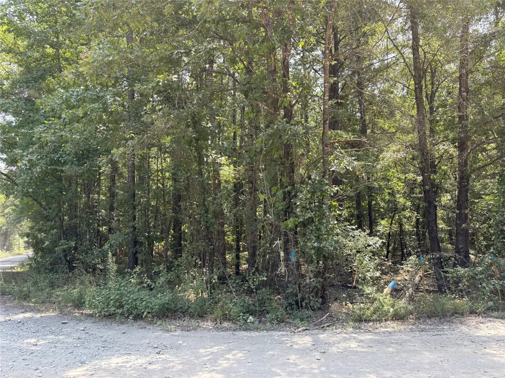 Moran Street Haughton, LA 71037
