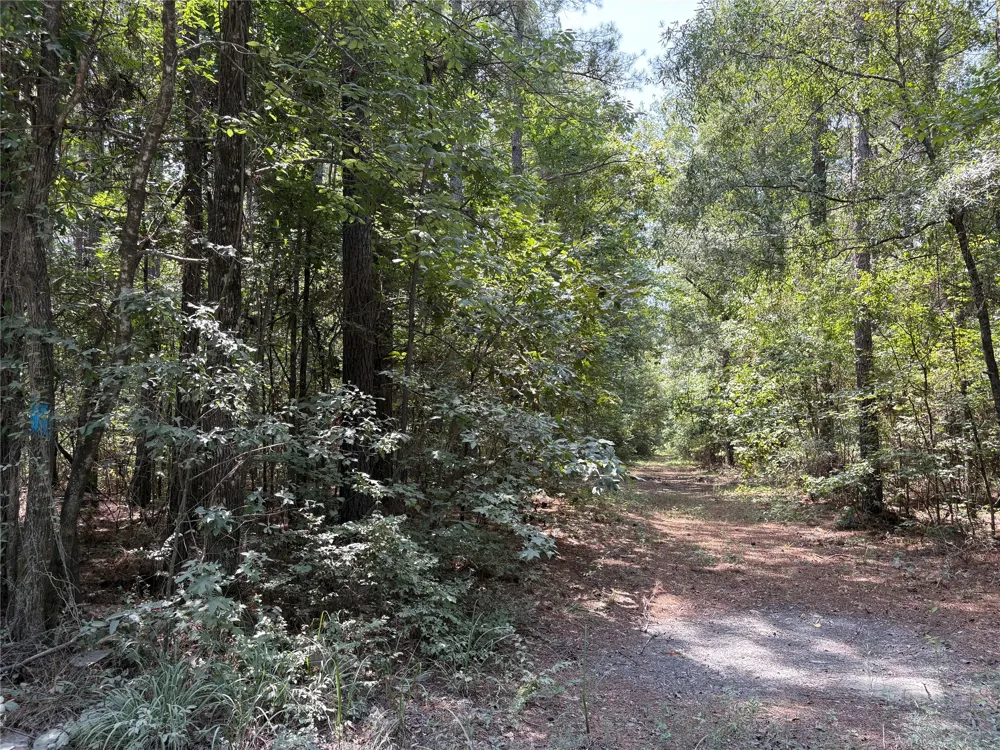 Moran Street Haughton, LA 71037