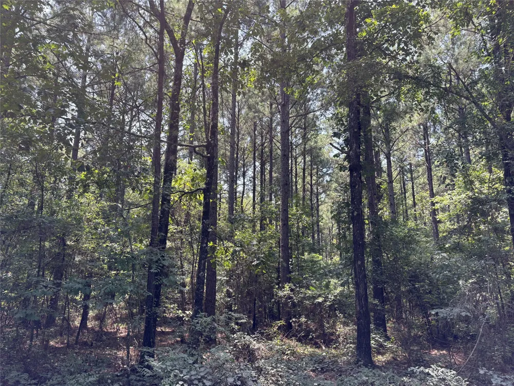 Moran Street Haughton, LA 71037