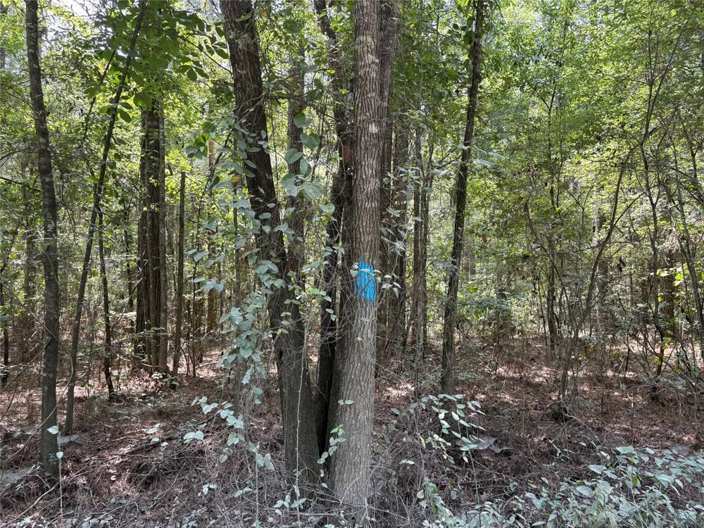 Moran Street Haughton, LA 71037