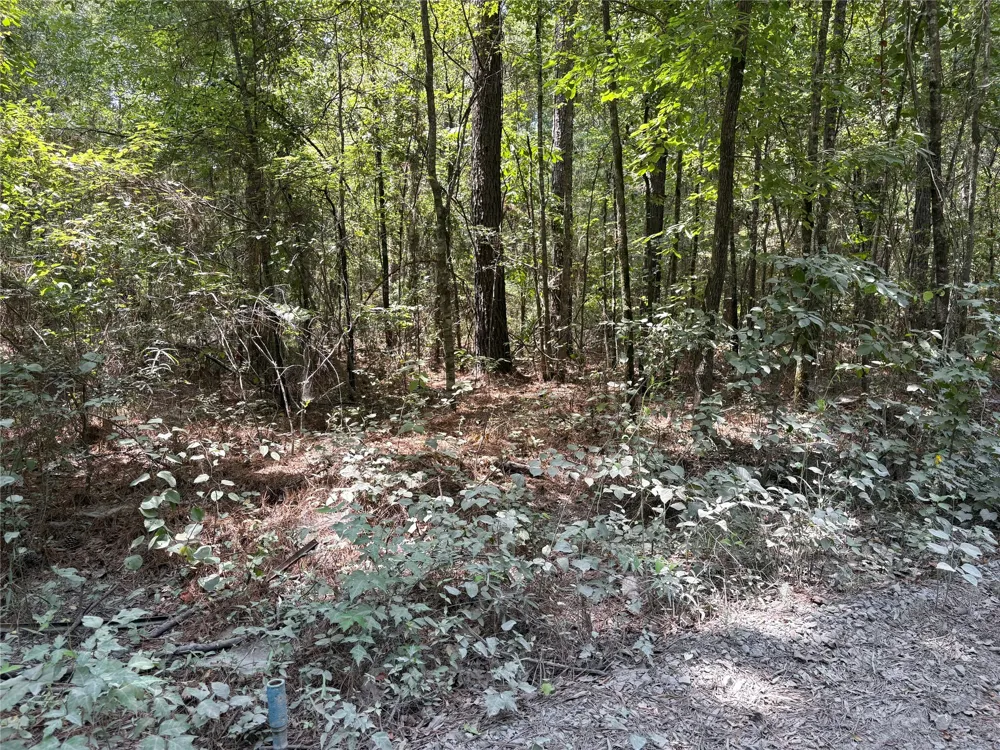 Moran Street Haughton, LA 71037