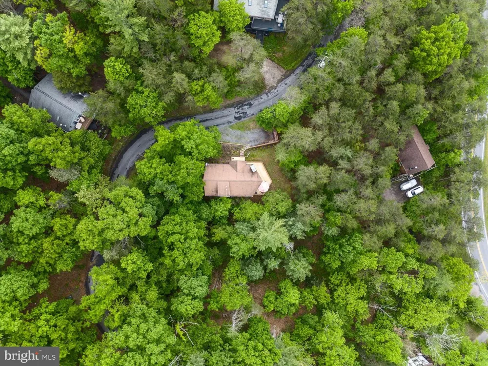 218 NELSON WAY Basye, VA 22810