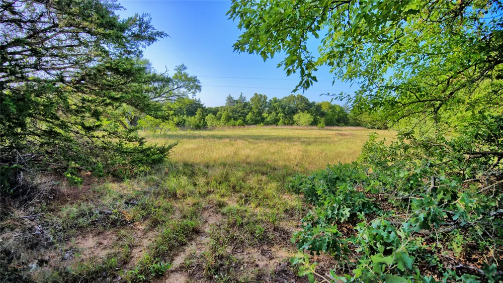 218 Illinois Bend Road St Jo, TX 76265