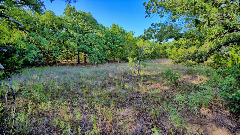 218 Illinois Bend Road St Jo, TX 76265