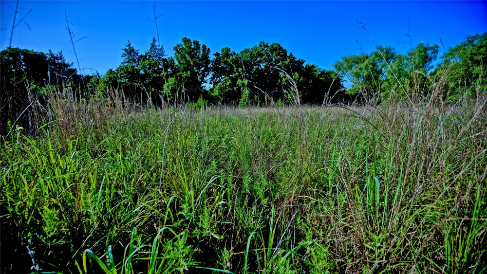 218 Illinois Bend Road St Jo, TX 76265