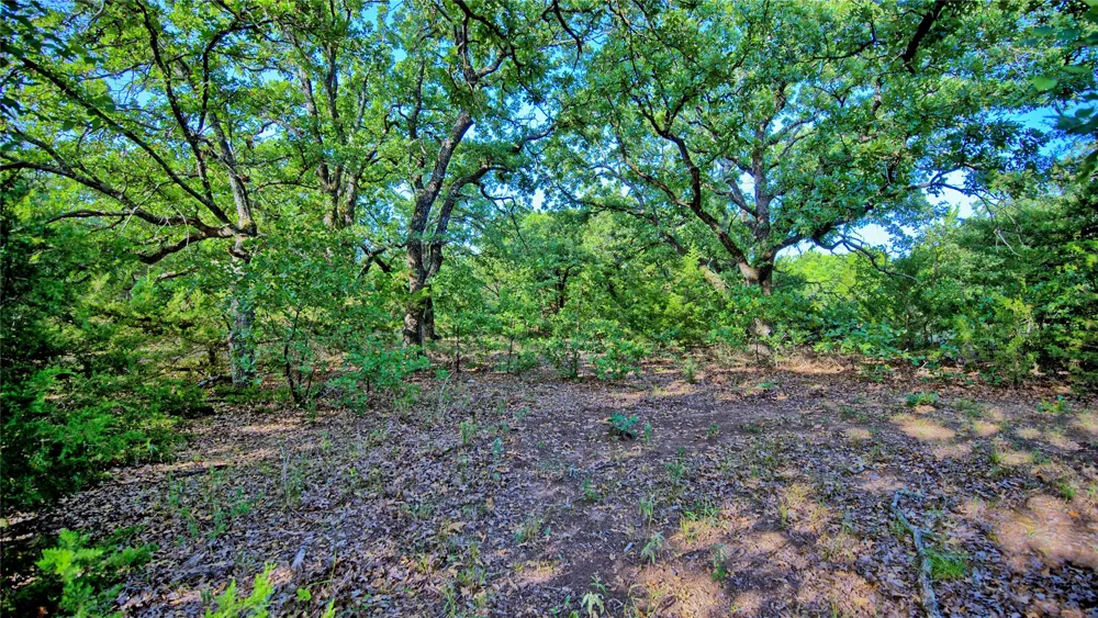218 Illinois Bend Road St Jo, TX 76265