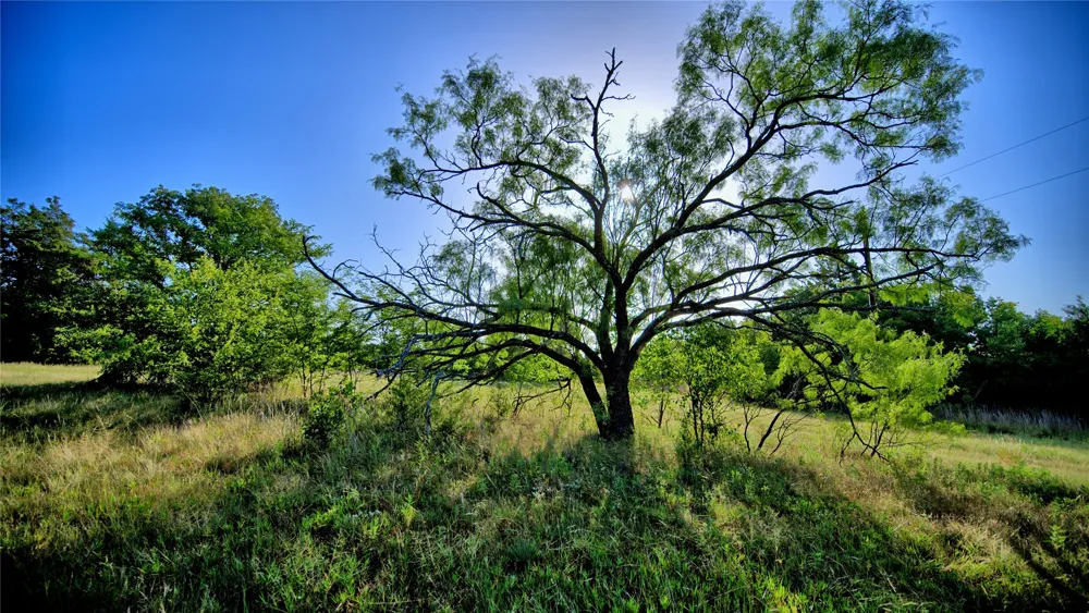 218 Illinois Bend Road St Jo, TX 76265