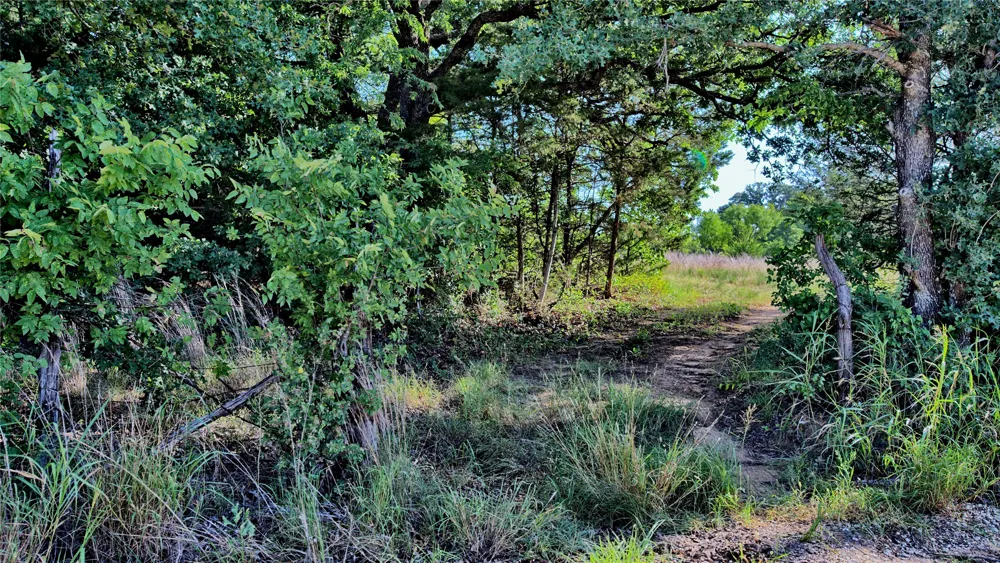 218 Illinois Bend Road St Jo, TX 76265