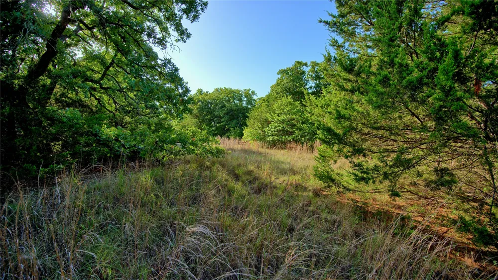 218 Illinois Bend Road St Jo, TX 76265