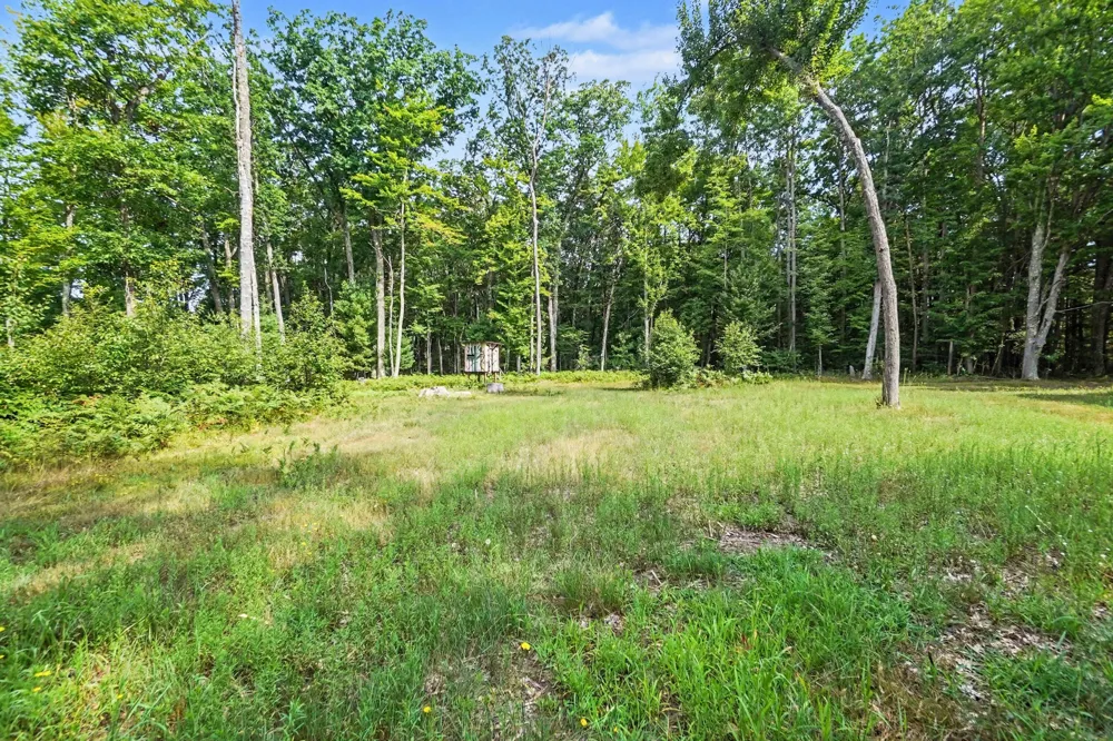 12577 Mundy Avenue Lilley Township, MI 49309