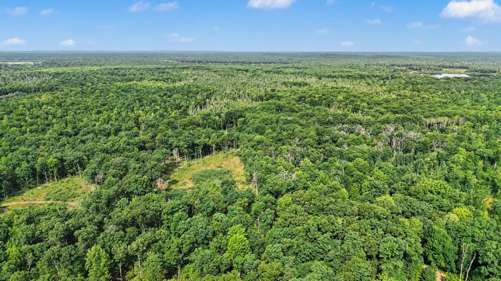 12577 Mundy Avenue Lilley Township, MI 49309