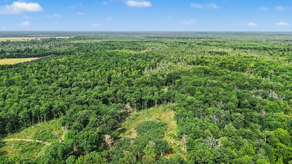12577 Mundy Avenue Lilley Township, MI 49309