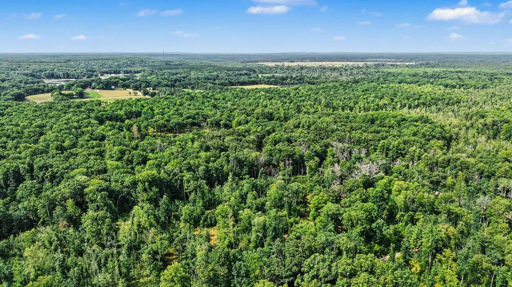 12577 Mundy Avenue Lilley Township, MI 49309