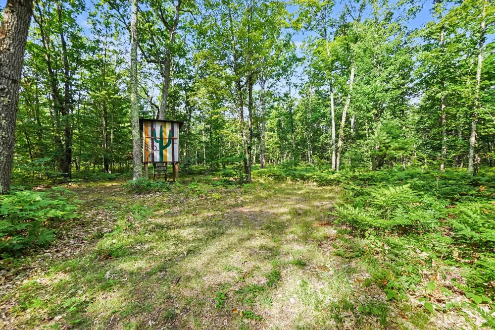 12577 Mundy Avenue Lilley Township, MI 49309