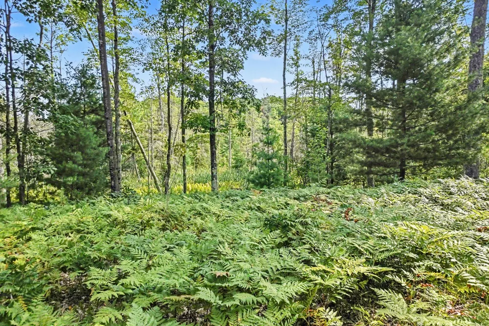 12577 Mundy Avenue Lilley Township, MI 49309