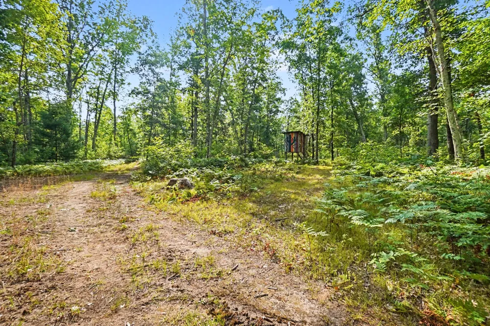 12577 Mundy Avenue Lilley Township, MI 49309