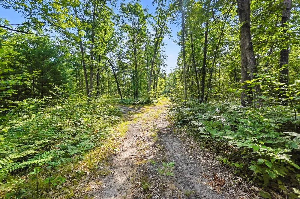 12577 Mundy Avenue Lilley Township, MI 49309