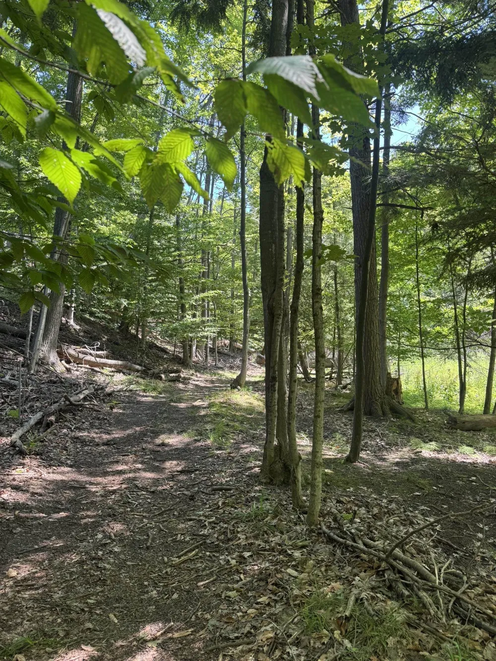 10101 Peninsula Drive Peninsula Township, MI 49686
