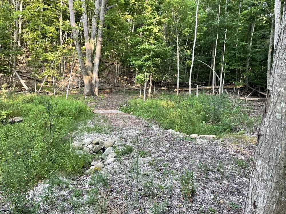10101 Peninsula Drive Peninsula Township, MI 49686
