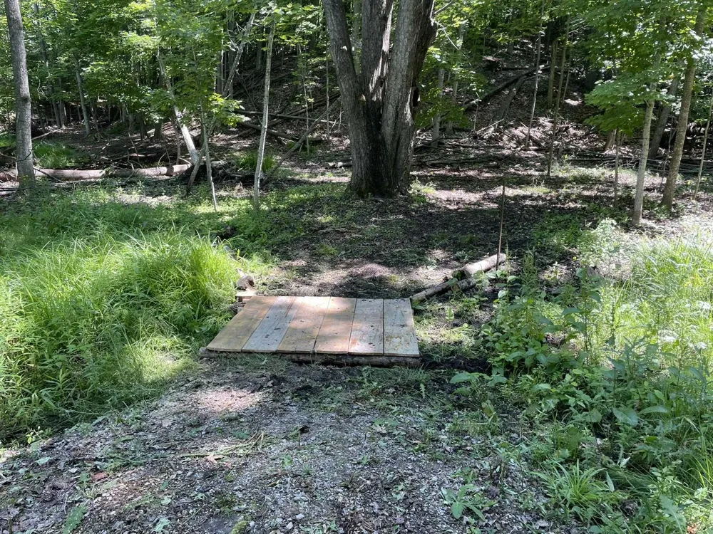 10101 Peninsula Drive Peninsula Township, MI 49686