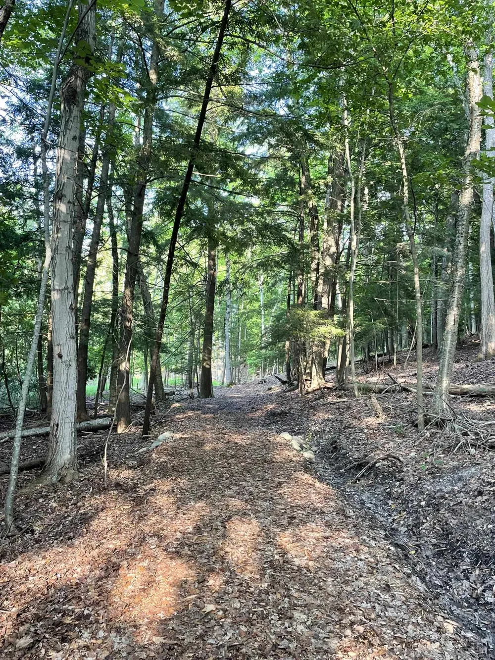 10101 Peninsula Drive Peninsula Township, MI 49686
