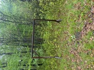 5055 Adams Road Sherman Township, MI 48624