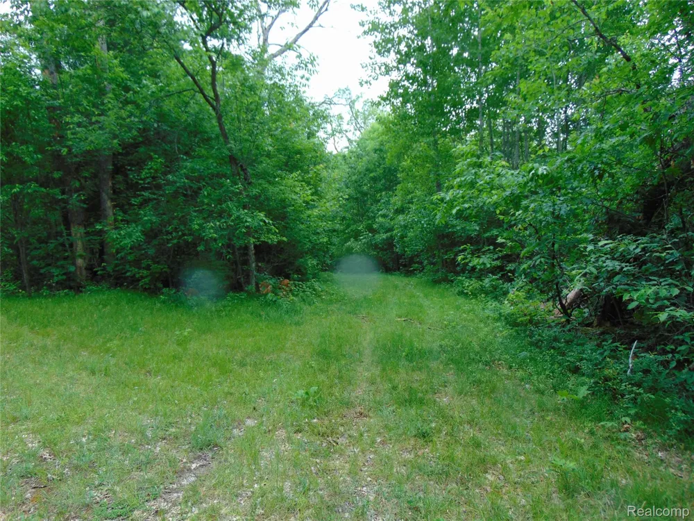 5055 Adams Road Sherman Township, MI 48624