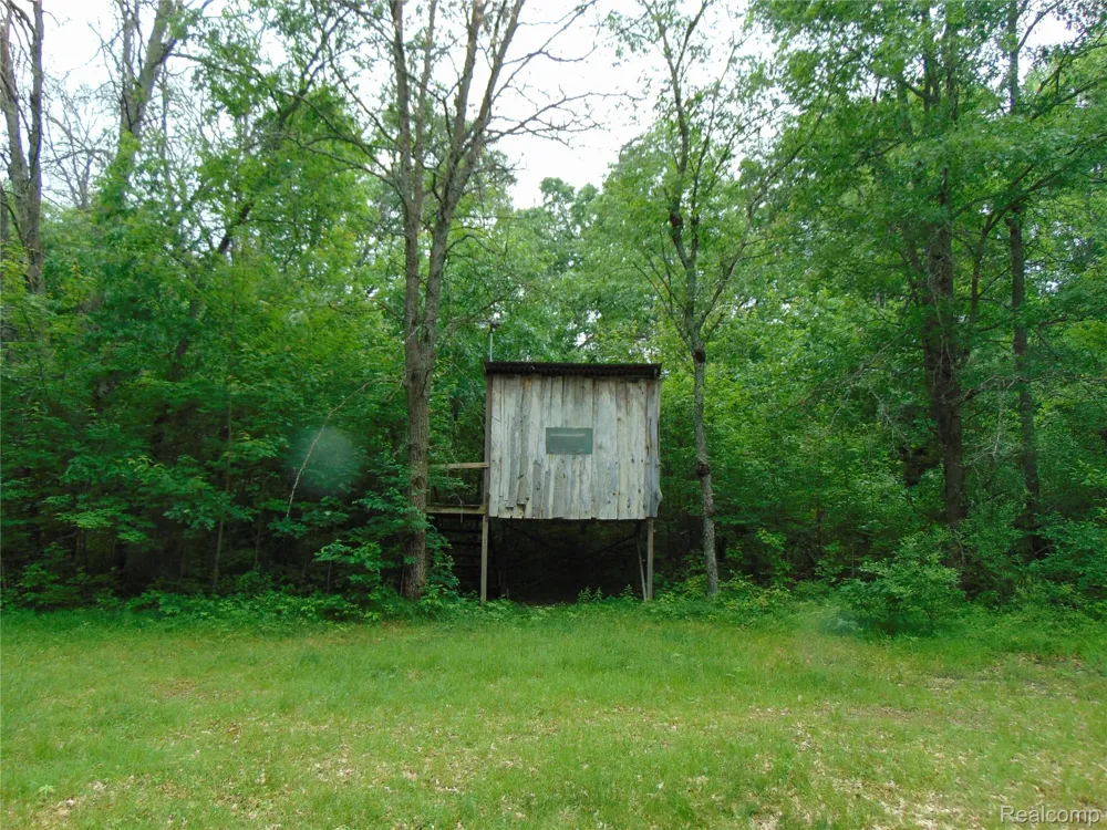 5055 Adams Road Sherman Township, MI 48624