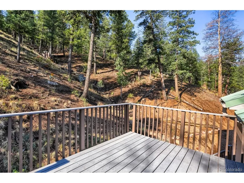 9899 Overlook Road Sedalia, CO 80135