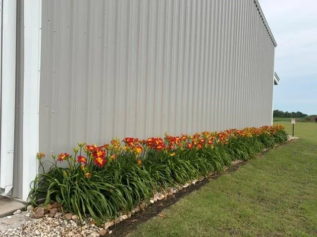 12030 County Line Road Wallis, TX 77485