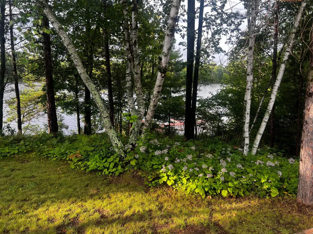 15326 W Birch Point Road #19 Hayward, WI 54843