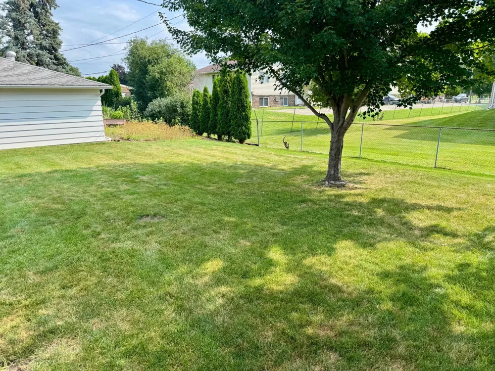 334 Oak Street Winona, MN 55987