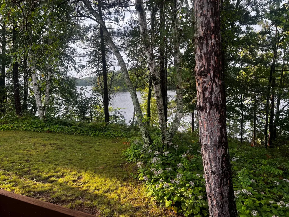 15326 W Birch Point Road #20 Hayward, WI 54843