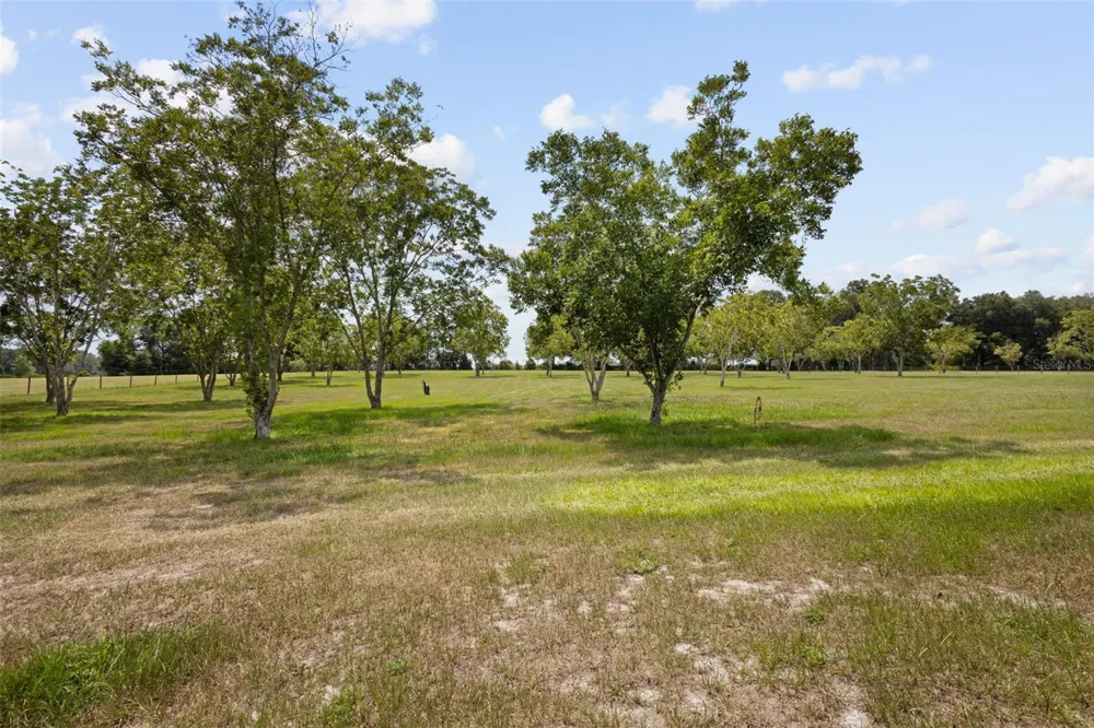 8140 MEADOWLARK CT Melrose, FL 32666