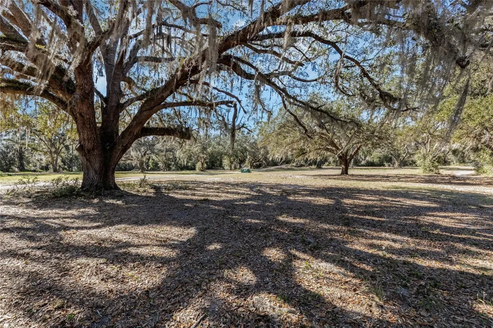 12312 SE 112TH AVENUE ROAD Belleview, FL 34420
