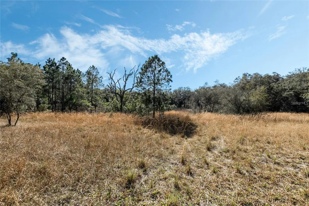 12312 SE 112TH AVENUE ROAD Belleview, FL 34420