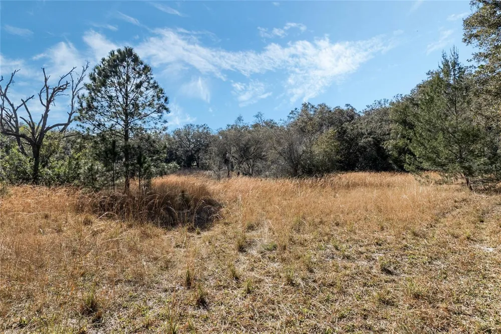 12312 SE 112TH AVENUE ROAD Belleview, FL 34420