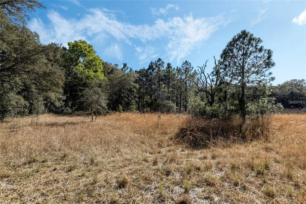 12312 SE 112TH AVENUE ROAD Belleview, FL 34420