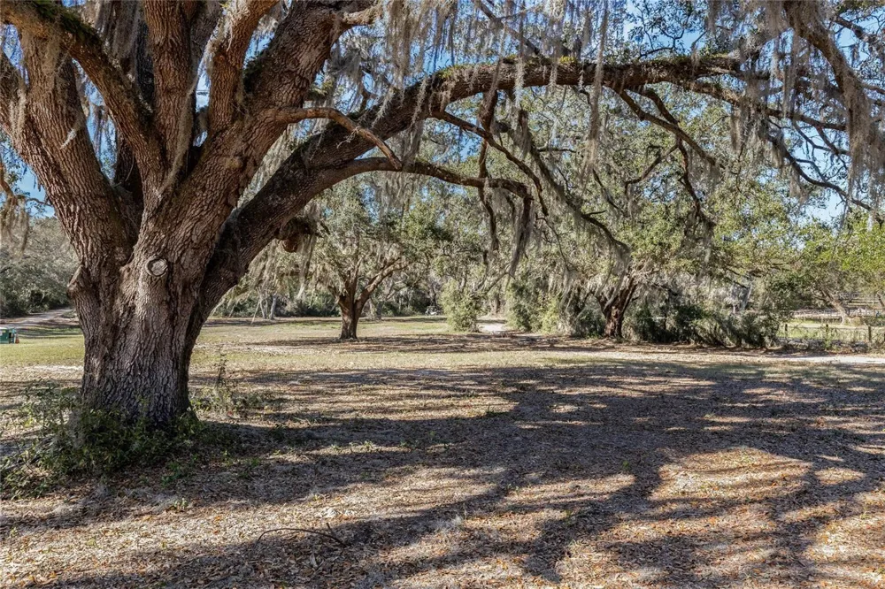 12312 SE 112TH AVENUE ROAD Belleview, FL 34420