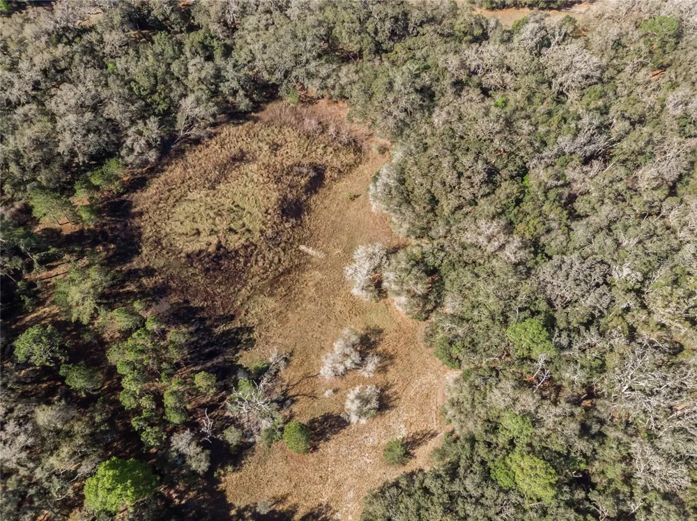 12312 SE 112TH AVENUE ROAD Belleview, FL 34420