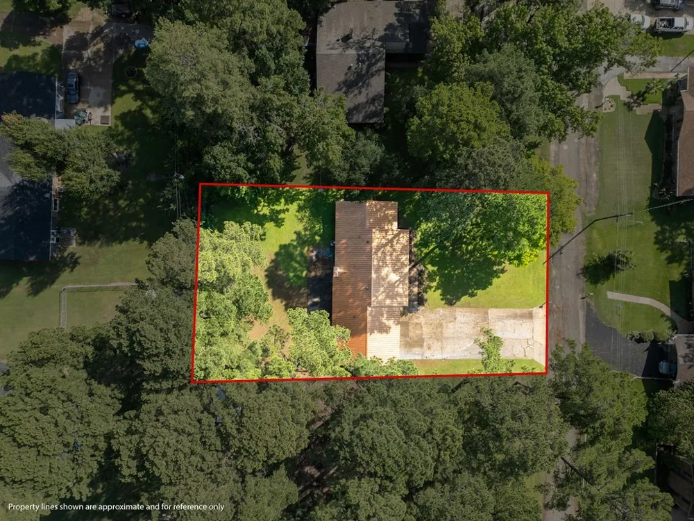 4116 Lakeshore Drive Lone Star, TX 75668