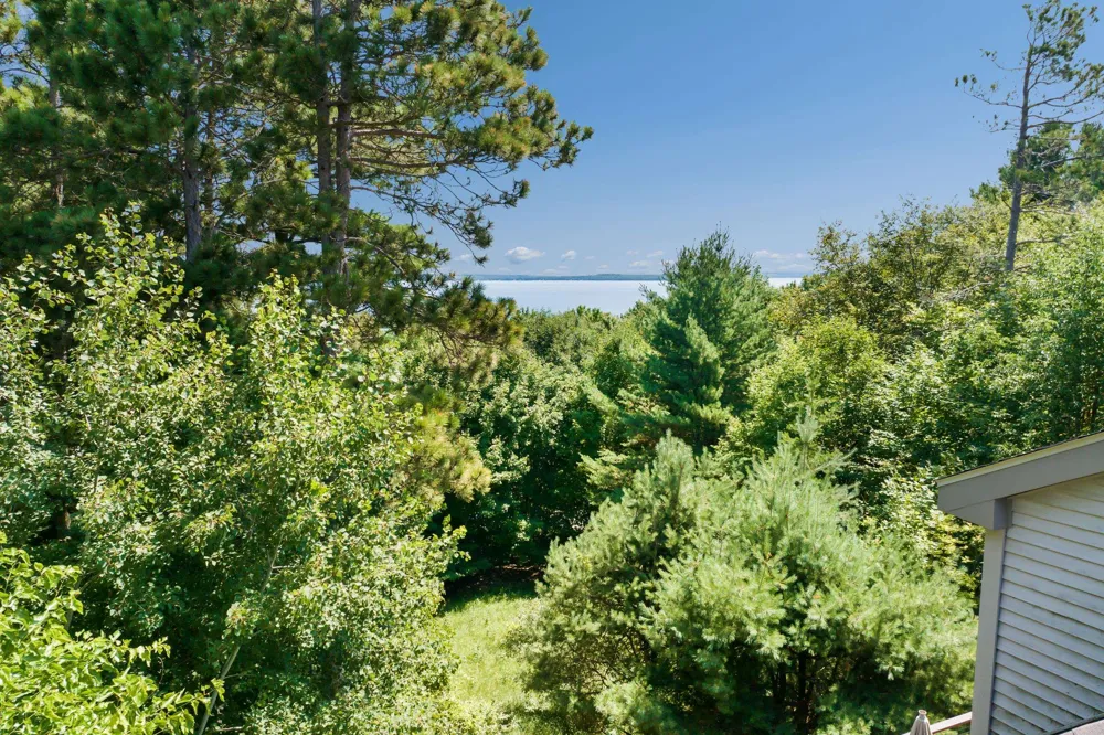 4545 S Pine Valley Court Bingham Township, MI 49682