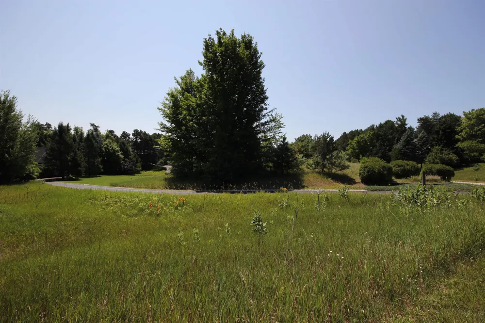 4545 S Pine Valley Court Bingham Township, MI 49682