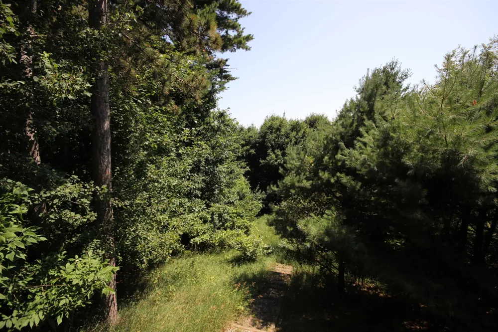 4545 S Pine Valley Court Bingham Township, MI 49682