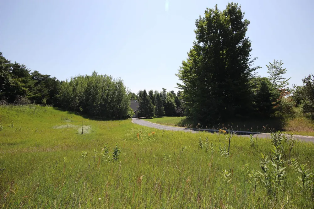 4545 S Pine Valley Court Bingham Township, MI 49682