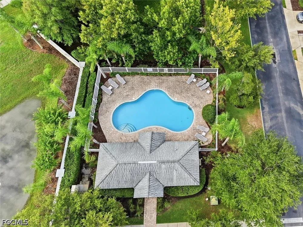 Harbor Ridge Drive Palm Harbor, FL 34683